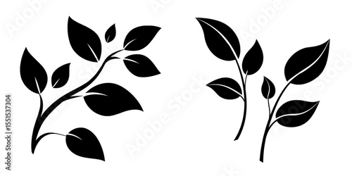 Modern design featuring isolated green nature leaves set against a white background