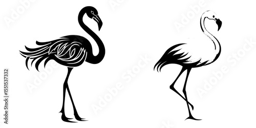 A modern illustration features a pink flamingo set against a white background