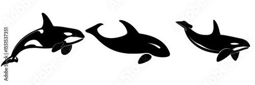 A solitary black orca whale silhouette is set against a white background, also known as a killer whale, which is a sea animal