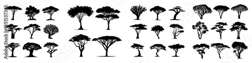 African trees are depicted as black silhouettes against a white background, showcasing isolated savannah nature and the forest landscape of Africa with acacia icons