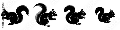 Modern illustration of a squirrel silhouette, set against a white background