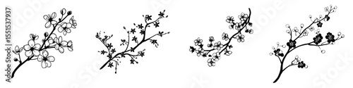 A hand-drawn image of a flowering tree branch is set against a white background, presented as a simple doodle in outline form, suitable for various decorative applications