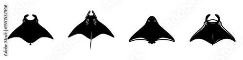 Manta ray is depicted as an underwater giant animal with wings in a simple cartoon character design, shown in a flat modern illustration isolated on a white background