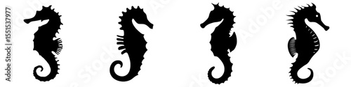 A solitary black seahorse silhouette is set against a white backdrop, captured from the side, showcasing the marine creature's form