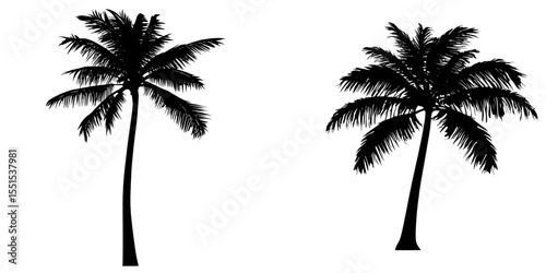 Modern illustration featuring a silhouette of a coconut tree on a white background