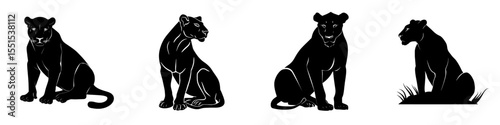 A cartoon depiction of a lioness, illustrated in a flat, modern style, shows the adult female African wild cat sitting on the ground in a black silhouette, set against a white background with a cute