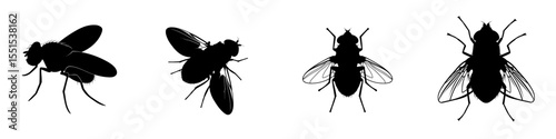 The black silhouette of a fruit fly, specifically Drosophila melanogaster, is shown isolated on a white background