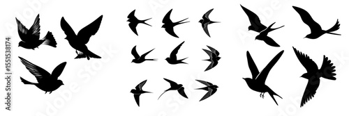 Modern illustration featuring flying birds silhouettes on an isolated background for tattoo and wallpaper designs
