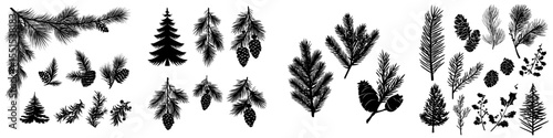 Modern Christmas tree branches, along with fir and pine cones, are part of an evergreen set used for holiday decorations, featuring black winter symbols isolated on a white background, depicted in a