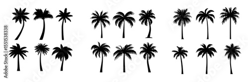 A set of palm trees is available, featuring 8 black icons isolated on a white background, showcasing palm tree silhouettes in a modern illustration style