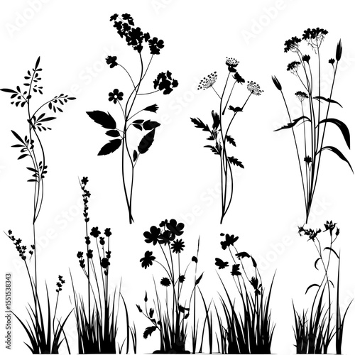 Modern wild herbs and flowers create a silhouette against a white background, where a field of grass and wildflowers is prominently displayed in isolation