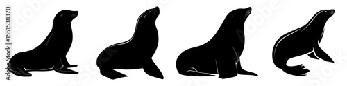 A sea lion's silhouette, presented as a modern icon logo, is isolated on a white background