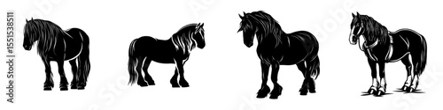 A contemporary illustration of a draft horse in silhouette form is set against a plain white backdrop