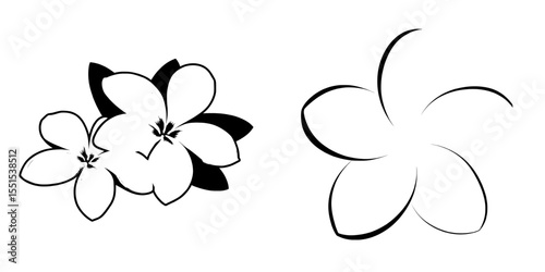The frangipani, also known as plumeria, is a tropical flower often used in leis, and an engraved version with yellow petals can be found isolated on a white background in a modern outline