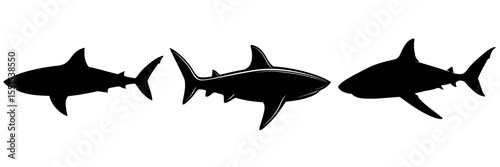 The silhouette of a shark is illustrated in a modern style on a plain white background, shown in a side view