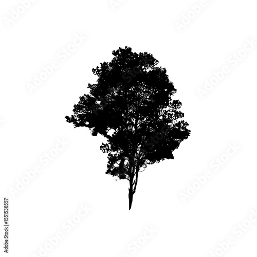 An isolated abstract watercolor tree, viewed from the top and set against a white background, created for incorporation into landscape plans and architectural layouts, with elements relevant to