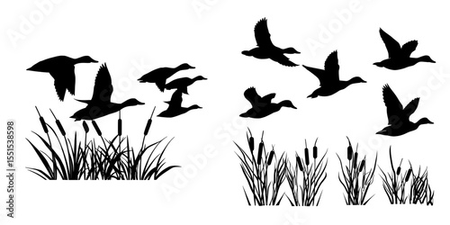 The modern silhouette depicts a flock of duck birds flying over marsh herbs, set against a white background and accompanied by wild ducks and Typhaceae marsh herb bearing leaves and spike flowers