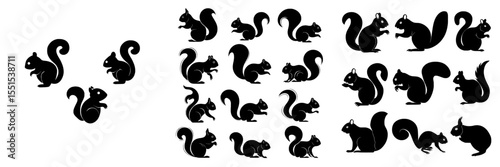 The silhouettes of squirrels appear in black against a white backdrop