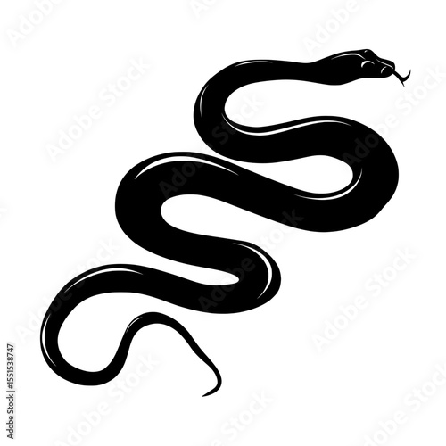 Modern illustration featuring a snake set against a white background, with two options available