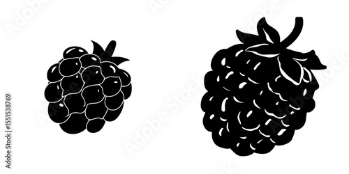 A set of raspberry silhouette icons accompanied by lettering, resembling a stamp with printed scuffs, is presented in a simple black shape and modern color illustration