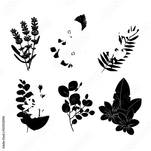 A contemporary collection for floral arrangements features lavender, white sakura, orchids, magnolias, eucalyptus, and an assortment of green plants and leaves