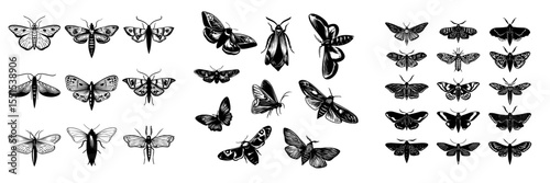 Retro detailed line drawings of butterflies and moths species are showcased in a set of outlined sketches of flying insects, featuring engraved hand-drawn modern illustrations isolated on white