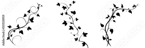 A pretty curving floral design featuring an ivy vine design element with minimalistic modern leaves in outline, including a plant stem or tree branch as clip-art, isolated on a white background for