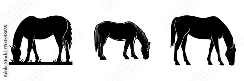 A dark horse silhouette is seen grazing while set against a plain white backdrop
