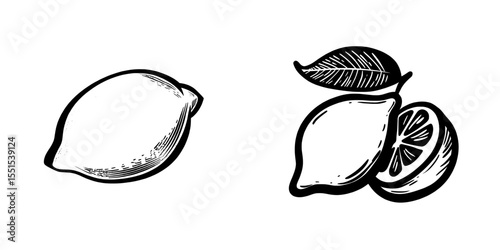 A hand-drawn illustration of a lemon doodle icon, set against a white background, is suitable for design and web applications, including labels, logos, and advertising, and features a modern flat