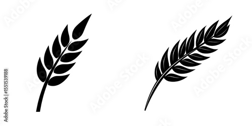 An ear of wheat, barley, or rye is depicted as a modern icon on a white background