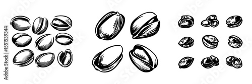 A set of hand-drawn pistachios in sketch style, featuring fresh and fried organic healthy food, ideal for package design, with modern illustrations isolated on a white background