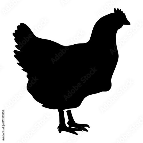 A modern silhouette of a hen, chicken, bird, or broiler, is depicted in isolation on a white background using illustrator