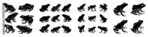 A modern illustration features a set of black frog silhouettes isolated on a white background, specifically depicting frogs