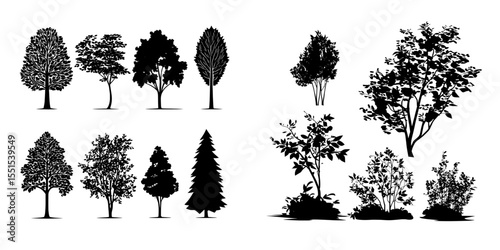A collection of trees and bushes serves as design elements in a modern illustration set against a white background