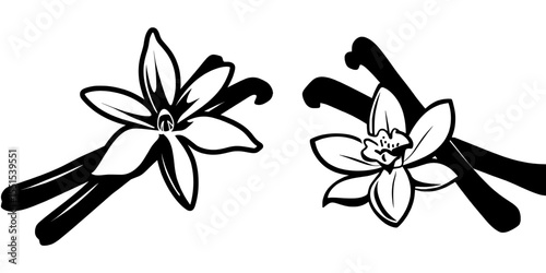The modern icons of vanilla flower bloom and spice are on display, as is the isolated image of an orchid vanilla flower and dried vanilla sticks on a white background