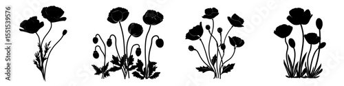A set of black silhouettes of poppy flowers, buds, and leaves is placed on a white background