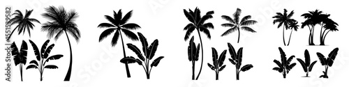 Collection of constructor sets featuring realistic black silhouettes of isolated tropical palm trees, branches, and separate banana leaves, talipot on a white background