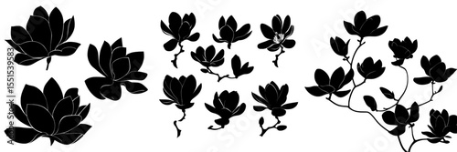The set consists of magnolia flower silhouettes in black, set against a white background, in a modern illustration style