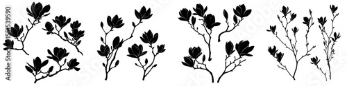 Modern black silhouettes of magnolia flowers and branches isolated on a white background