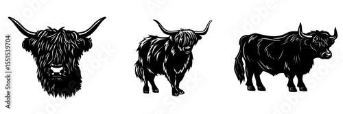 Modern illustration of a humorous wildlife animal portrait symbol for a logo, featuring a black silhouette of Scottish Highland cattle isolated on a white background