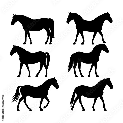 The graphic features a modern illustration of horse silhouettes in black, set against a plain white background