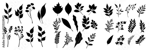 Modern illustration featuring a collection of foliage silhouettes, comprising botanical black elements in flat style, isolated on a white background