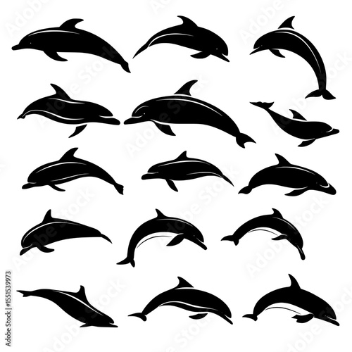 The modern silhouette design includes a large pack of dolphin silhouettes set against an isolated white background