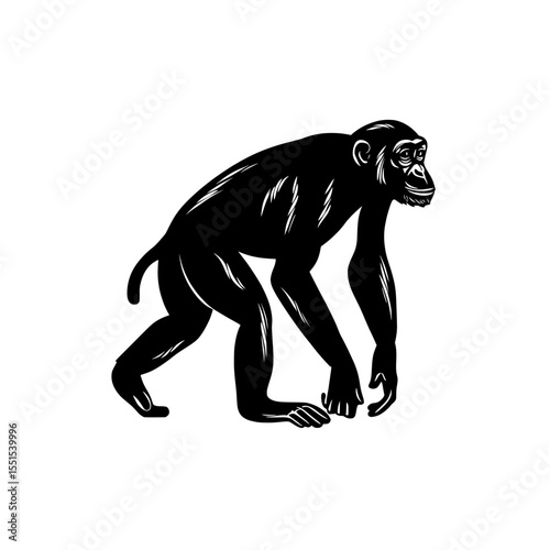 The set includes a large pack of modern silhouettes featuring monkeys, apes, and zoo animals, all isolated on a white background