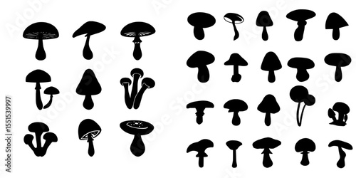 Mushroom silhouettes are compiled into a large set of modern designs on a white isolated background