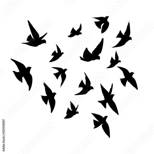 Birds are flying in an aesthetically pleasing pattern, set against a modern white backdrop