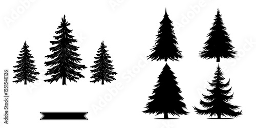 A modern illustration features a set of green fir trees isolated against a white background, depicting a Christmas pine tree