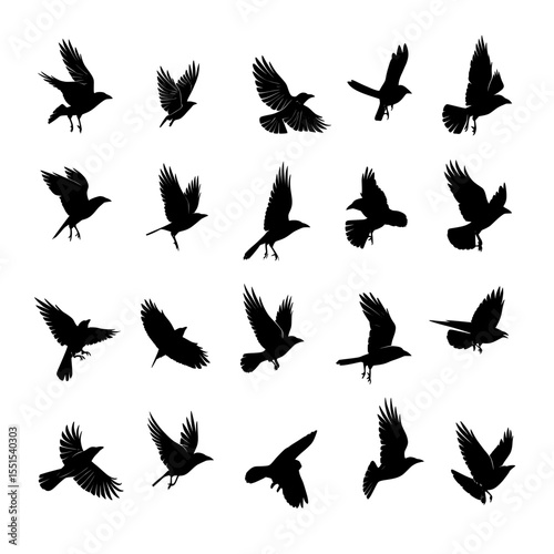 The scene depicts a flock of crows flying naturally, characterized as modern birds, on a white background