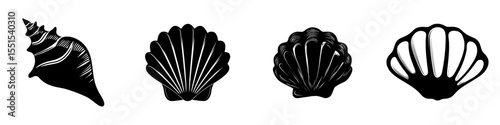 An illustration of a seashell set in silhouette form is isolated on a white background