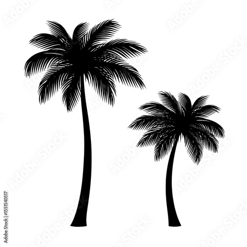 Modern illustration set featuring palm or coconut trees on a white background, symbolizing nature, relaxation, peace, luxury, and elegance